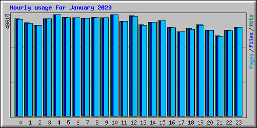Hourly usage for January 2023