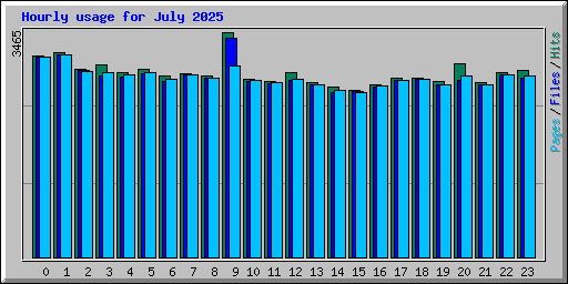 Hourly usage for July 2025
