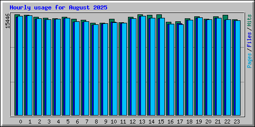 Hourly usage for August 2025