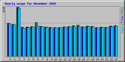 Hourly usage for November 2025