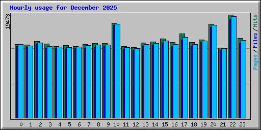 Hourly usage for December 2025