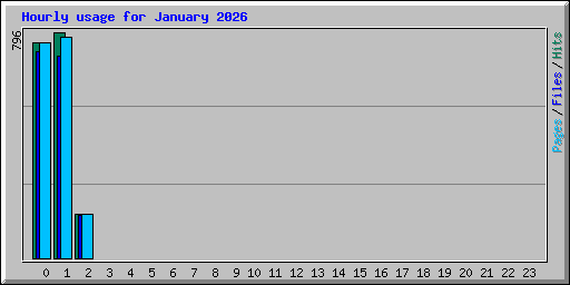 Hourly usage for January 2026